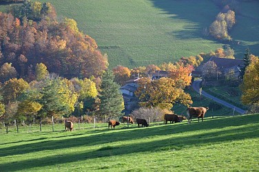 Découverte de Pélussin