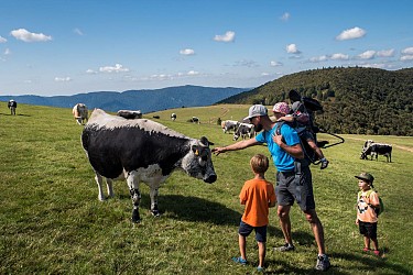 Hiking trail: Circuit du Treh