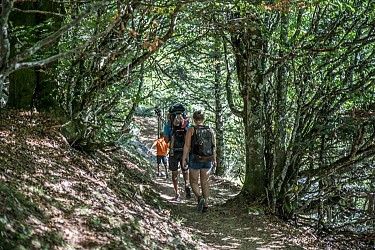 Hiking trail: Circuit du Hohfried
