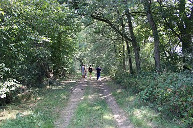 Randonnée de Loyse - PR 21