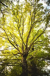 Circuit des vénérables - PR 22