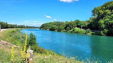 Jonage - Les rives du canal