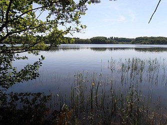 L'étang de Chancelade