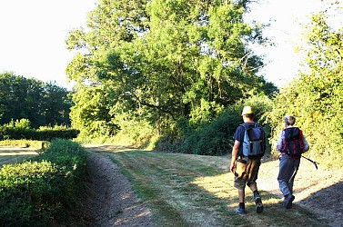 Circuit de la Fontaine Jayère au Château du Mont - PR 23