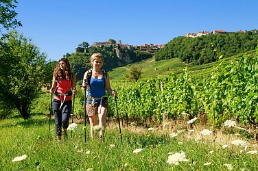 Echappée Jurassienne Pédestre - Étape 8 : Passenans - Granges sur Baume
