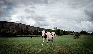 La Haute Vallée de la Valouse