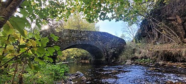 Les rives de la Sioule