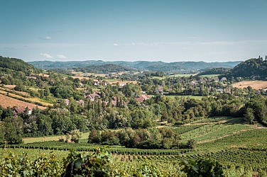 Vignoble et Châteaux - 88B