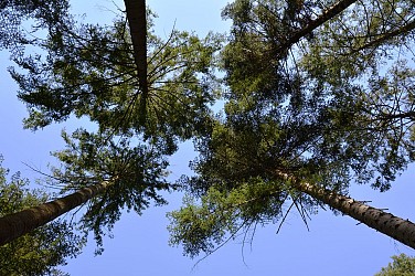 Le bassin de Vic-le-Comte