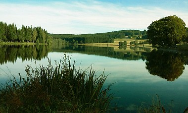 L'Etang de Marchaud