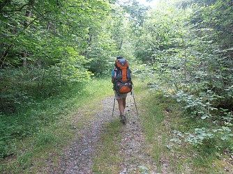La forêt du Quartier