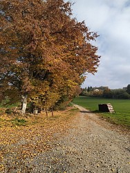 Circuit Patrimoine 3 - Art (Vresse et Bouillon)