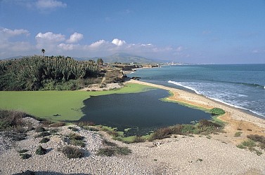 Image du circuit