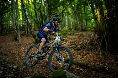 N°76 - Les jonquilles - Circuit Enduro - Espace VTT-FFC Massif des Bois Noirs