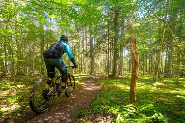 N°77 - La couzanaise - Circuit Enduro - Espace VTT-FFC Massif des Bois Noirs
