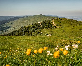 Itinerant hiking : : From the enchanting Valserine to the Jura summit