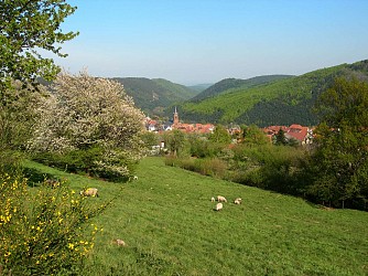 Circuit VTT C05 : De la côte 1000 vers Grendelbruch