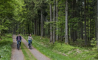 Circuit VTT C19 : De la croix du Jacques à la Drille
