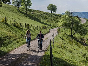 Mountain-bike circuit H11 : The Belfays wood tour