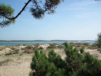île d'Oléron Sud, Pointe de Gatseau et le Pertuis de Maumusson