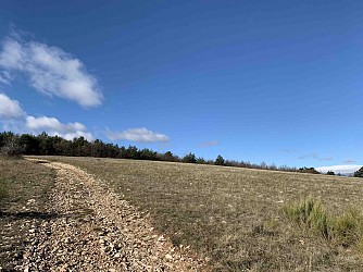 VTT n°15 - Les lavandes de Ballagros