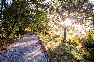 Voie verte du Haut Limousin