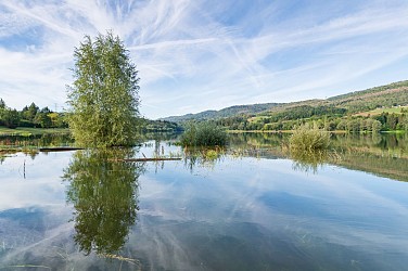Circuit Jurassic Vélo Tours n°40 - Le tour de l'Oignin ou la rivière domptée