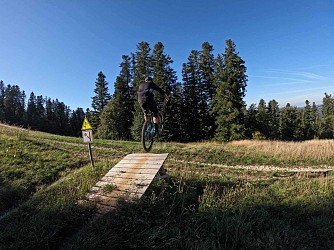 Piste VTT Descente bleu - Junior - Espace Ain Forestière