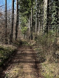 Balade Verte - La promenade de l'Ermite (MSJ 2)