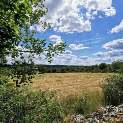 Les Mas du Causse - La Capelle Balaguier