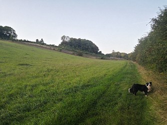 Le fond de Moulincourt