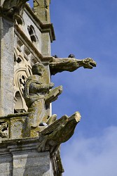 Verdure et ancienne ligne de chemin de fer