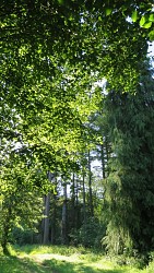 Au fil de la Dejoune - 20 km