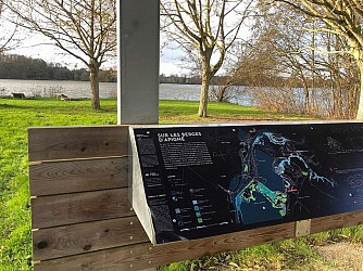 Balade à Roulettes® - Le tour du grand étang d’Apigné (n°2)