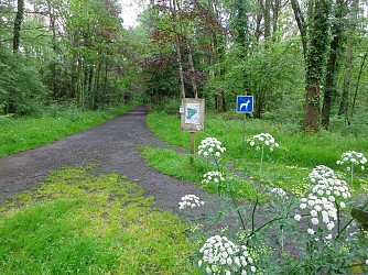 Balade à Roulettes® - Le Bois de la Sillandais (n°1)