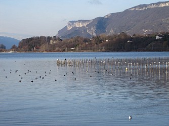 Promenade confort : Au fil de l'eau