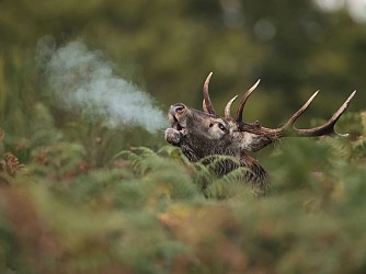 PR 5 : Autour de Mérigot