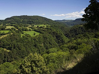 PR 17 : Le bois des Bartes