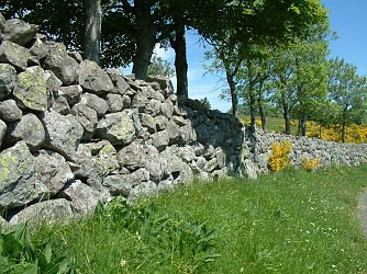 PR 18 : Sur les pas des Cerfs