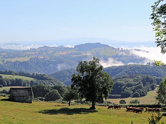 PR 23 : Le Puy du Mas