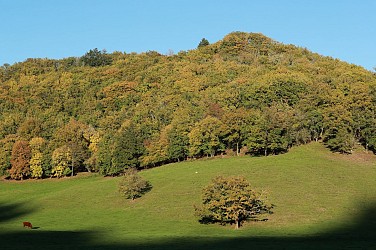 VTC 8 : La Voie des Sagnes