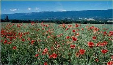 Circuit Les bas monts du Pays de Gex