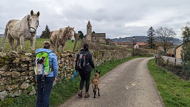 Saint-Jacques de Compostelle - De Cluny à Tramayes