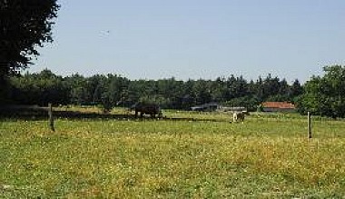 Randonnée Entre plaisir des yeux et des papilles