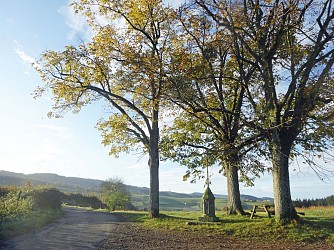 Ronno - Circuit 26 La boucle du Tû