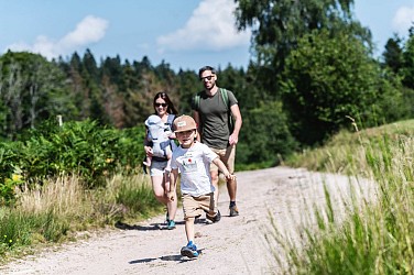 Balade en famille : Circuit découverte de Cosswiller