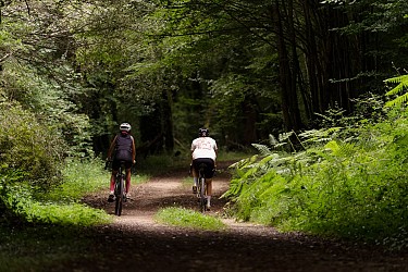 Au gré de la Thèze