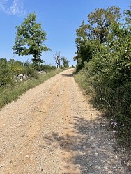 De Loubressac aux abords de la Dordogne