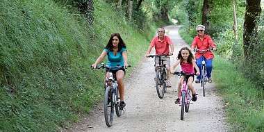 Circuit bleu n°2 - VTT - VTC - Sur les hauteurs du village - Najac
