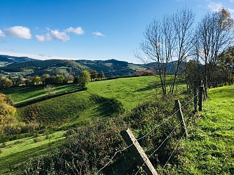 Saint-Nizier-d'Azergues - Circuit 31 Points de vues